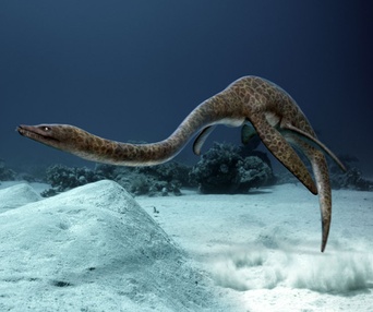 Une scène du film Sea Rex: Journey to a Prehistoric World 3D