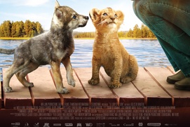Affiche du film Le loup et le lion Affiche du film Le loup et le lion