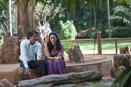 Une scène du film Life of Pi