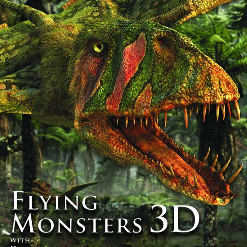 Affiche du film Flying Monsters 3D