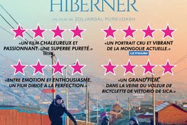 Affiche du film Si seulement je pouvais hiberner Affiche du film Si seulement je pouvais hiberner