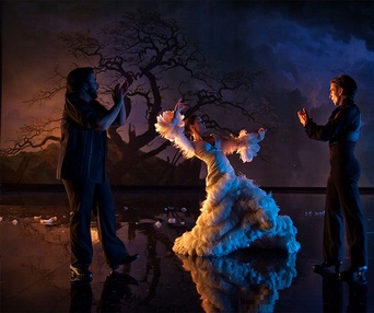 Une scène du film Flamenco Flamenco