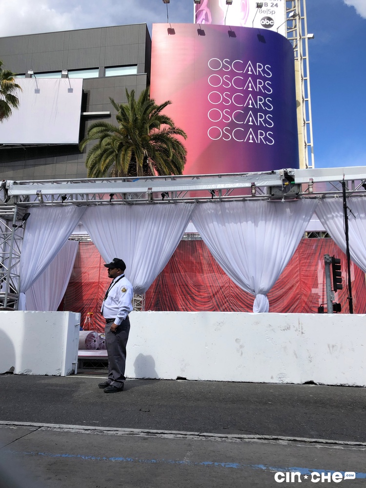 Tapis rouge des Oscars 2019