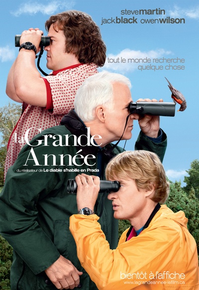 Affiche du film La grande année