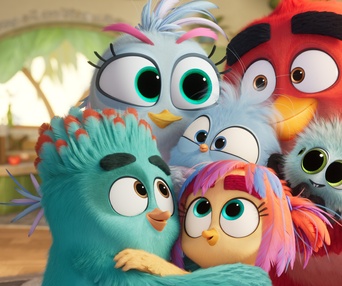 Image du film The Angry Birds 3