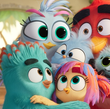 Red affronte la paternité dans la bande-annonce de Angry Birds 3 : Le Film