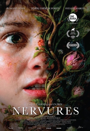 Nervures