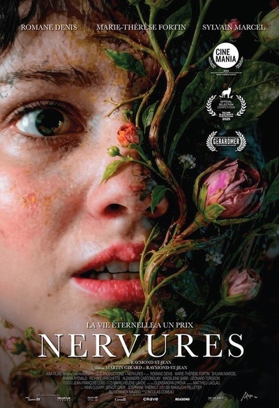Nervures