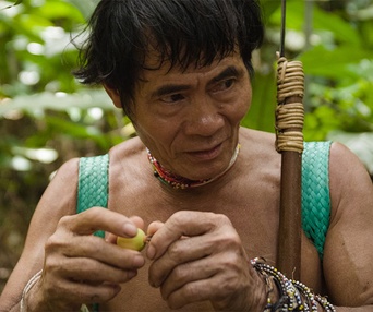 Une scène du film The Fruit Hunters