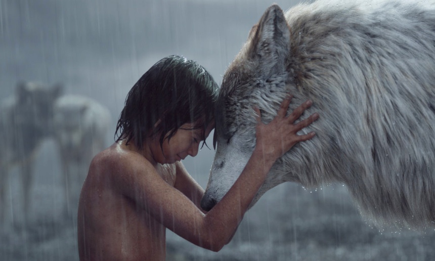 Une suite à The Jungle Book déjà en développement chez Disney