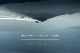 Affiche du film Mes nuits feront écho