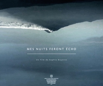 Affiche du film Mes nuits feront écho