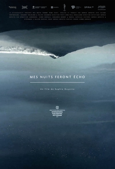 Affiche du film Mes nuits feront écho