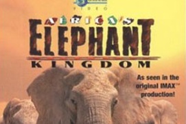 affiche du film Africa' Elephant kingdom
