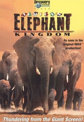 Sur la piste des éléphants d'Afrique