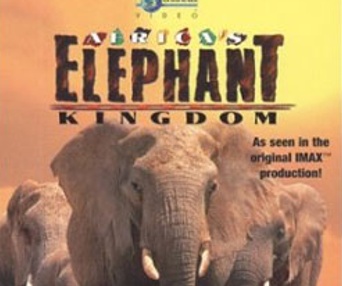 affiche du film Africa' Elephant kingdom