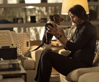 Une scène du film John Wick
