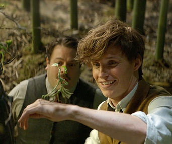 Une scène du film Fantastic Beasts and Where to Find Them