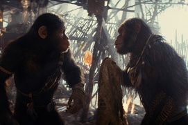 Image du film Kingdom of the Planet of the Apes