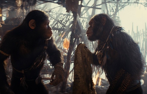 Image du film Kingdom of the Planet of the Apes