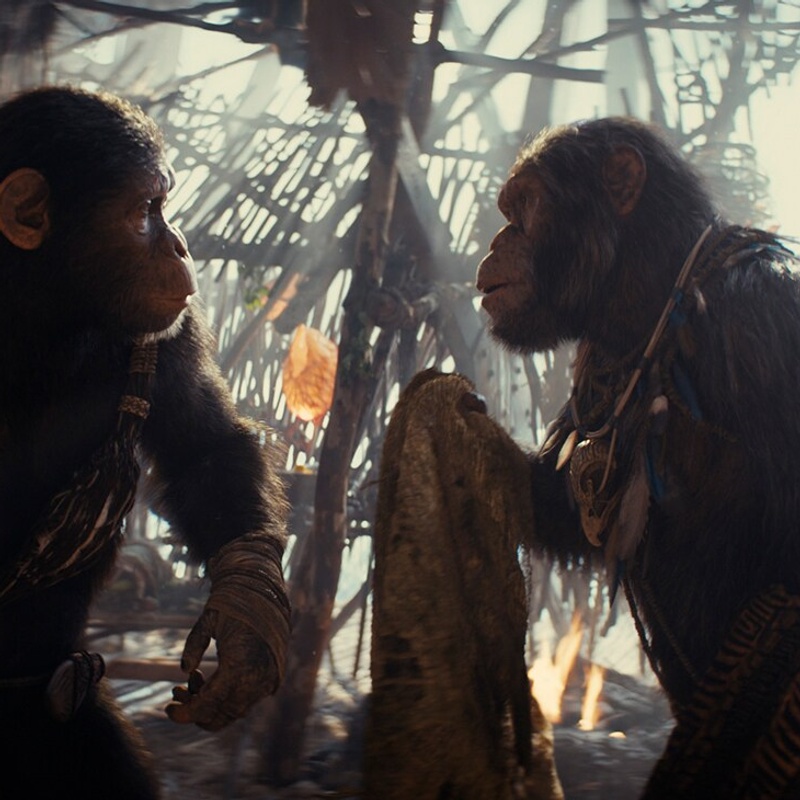 Image du film Kingdom of the Planet of the Apes