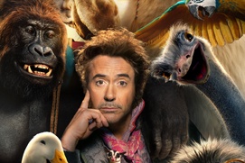 Affiche du film Dolittle Affiche du film Dolittle