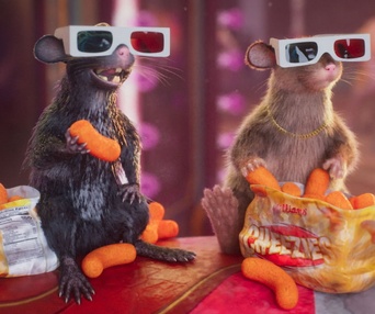 Images du film Les aventures de Gracie et Pedro