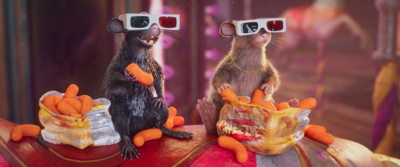 Images du film Les aventures de Gracie et Pedro
