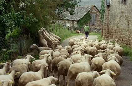 Bande-annonce en français