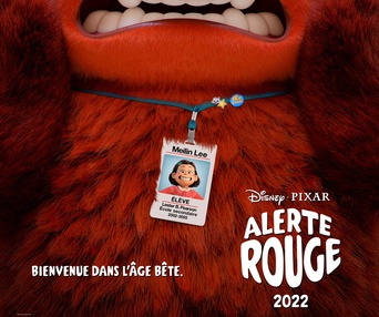 Affiche du film Alerte rouge