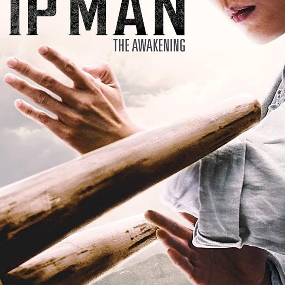 Affiche du film Ip Man: The Awakening