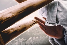 Affiche du film Ip Man: The Awakening