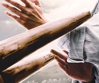 Affiche du film Ip Man: The Awakening
