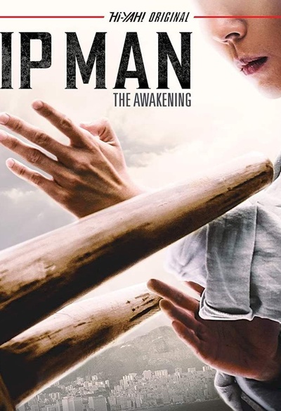 Affiche du film Ip Man: The Awakening