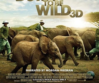 Affiche du film Born to Be Wild 3D
