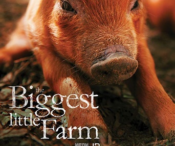 Affiche du film The Biggest Little Farm
