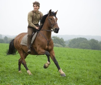 Une scène du film War Horse