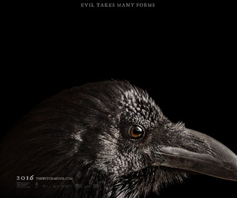 Affiche du film The Witch