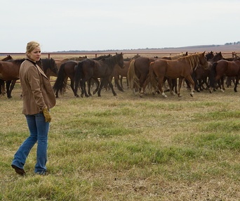 Une scène du film To the Wonder
