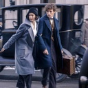 Une scène du film Fantastic Beasts and Where To Find Them