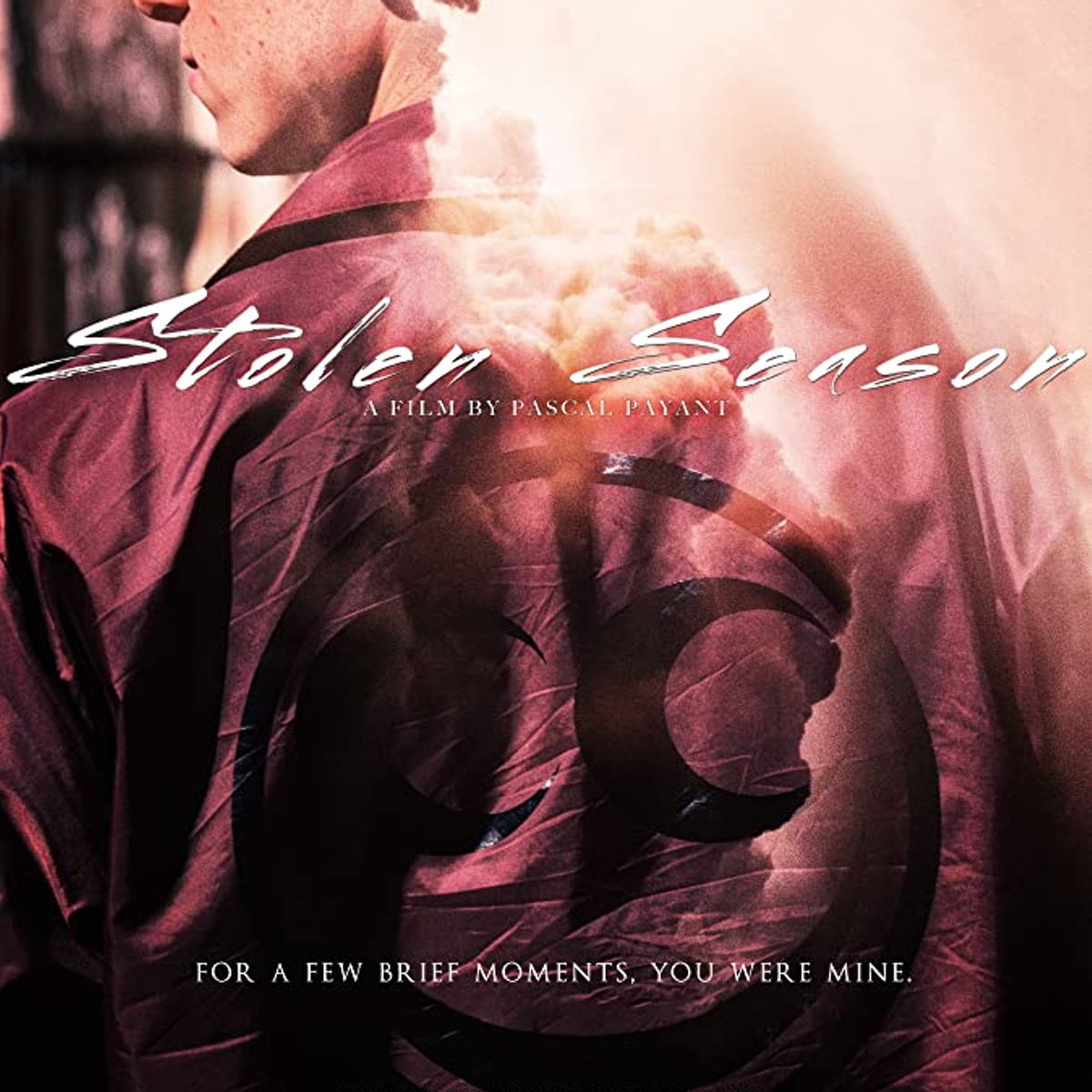 Affiche du film Stolen Season