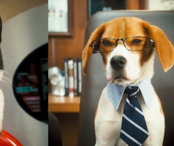 Une scène du film Cats & Dogs: The Revenge of Kitty Galore