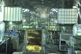 Sur le plateau du film The Colony Sur le plateau du film The Colony