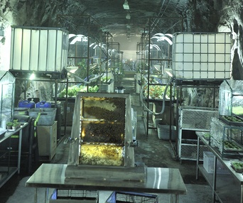 Sur le plateau du film The Colony