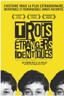 Affiche du film Trois étrangers identiques