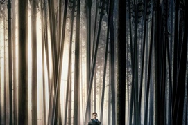 Affiche du film Robin Hood Affiche du film Robin Hood