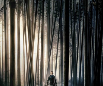 Affiche du film Robin Hood
