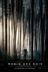 Affiche du film Robin des bois