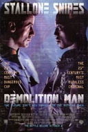 Affiche du film Le destructeur