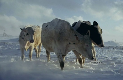 Bande-annonce en français